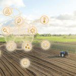 Dr. Eduardo Augusto da Hora Gonçalves